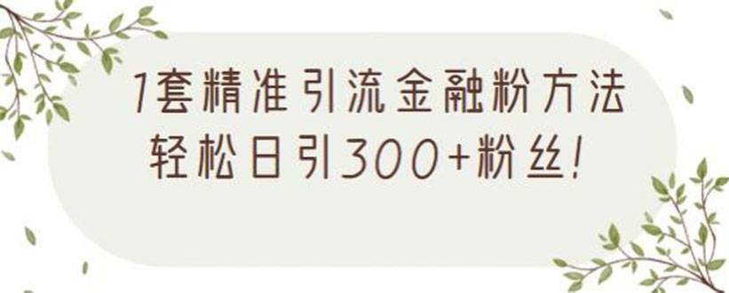 1套精准引流金融粉方法，轻松日引300+粉丝【视频课程】-爱赚项目网