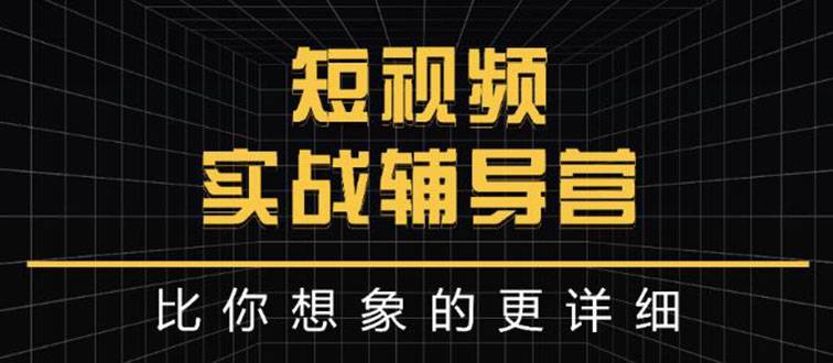 日入6万级别大佬教你做短视频实战：比你想象的更详细-爱赚项目网