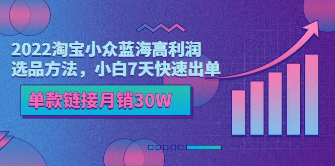 22年蓝海高利润淘宝小众选品方法，单款链接月销30W，小白7天快速出单-爱赚项目网