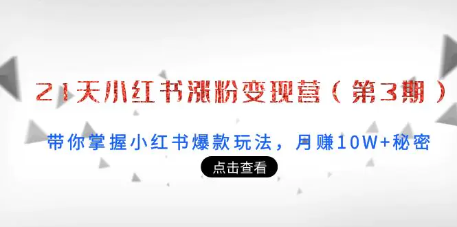 21天小红书涨粉变现营（第3期）：带你掌握小红书爆款玩法，月赚10W+秘密-爱赚项目网