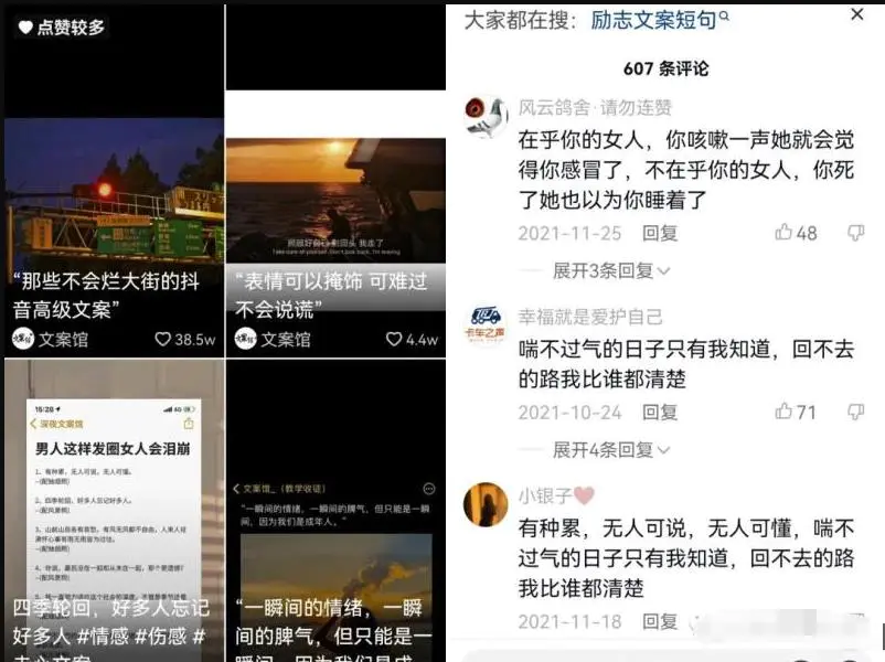 图片[3]-1个月大几千的副业思路，抖音文案号项目，无门槛人人可做！-爱赚项目网