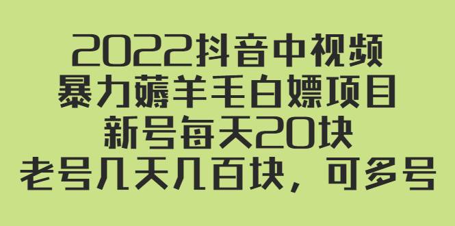 2022抖音中视频暴力薅羊毛白嫖项目：新号每天20块，老号几天几百块，可多号-爱赚项目网