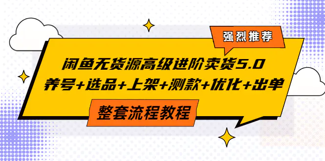 闲鱼无货源高级进阶卖货5.0，养号+选品+上架+测款+优化+出单整套流程教程-爱赚项目网