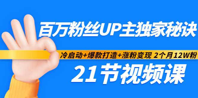 百万粉丝UP主独家秘诀：冷启动+爆款打造+涨粉变现 2个月12W粉（21节视频课)-爱赚项目网