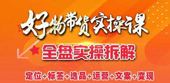 抖音好物带货实操课：全盘拆解抖音好物带货号全套流程打法-爱赚项目网