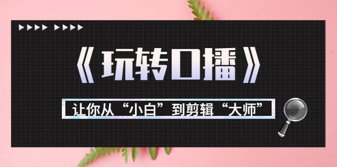 月营业额700万+大佬教您《玩转口播》让你从“小白”到剪辑“大师”-爱赚项目网