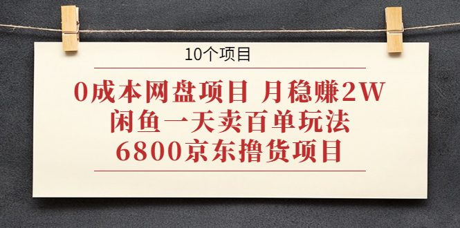 0成本网盘项目 月稳赚2W+闲鱼一天卖百单玩法+6800京东撸货项目 (10个项目)-爱赚项目网