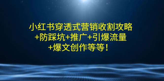 小红书穿透式营销收割攻略+防踩坑+推广+引爆流量+爆文创作等等！-爱赚项目网