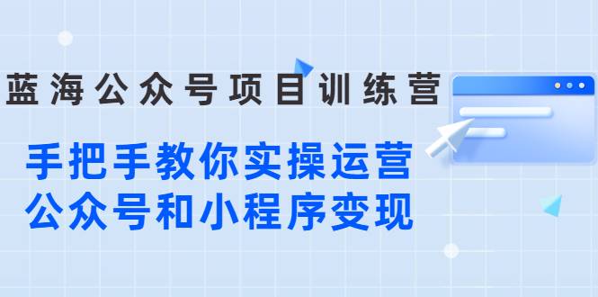 蓝海公众号项目训练营，手把手教你实操运营公众号和小程序变现-爱赚项目网