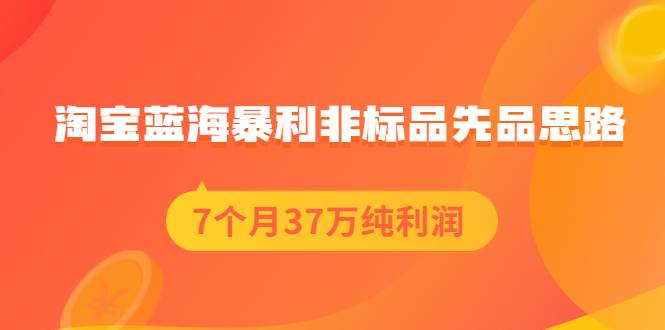 淘宝蓝海暴利非标品先品思路，7个月37万纯利润，压箱干货分享！-爱赚项目网