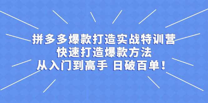 拼多多爆款打造实战特训营：快速打造爆款方法，从入门到高手 日破百单-爱赚项目网