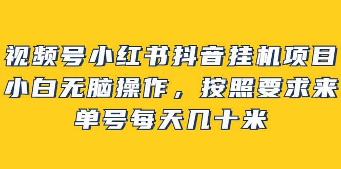 视频号小红书抖音挂机项目，小白无脑操作，按照要求来，单号每天几十米-爱赚项目网