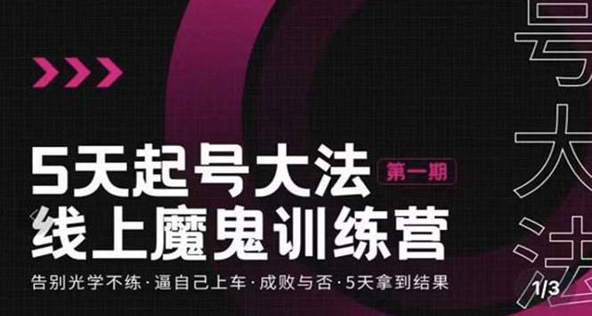 五天起号魔鬼训练营，告别光学不练，逼自己上车，成败与否，5天拿到结果-爱赚项目网