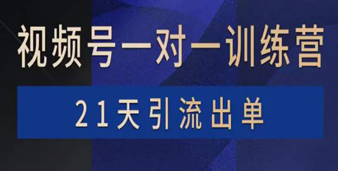 视频号训练营：带货，涨粉，直播，游戏，四大变现新方向，21天引流出单-爱赚项目网