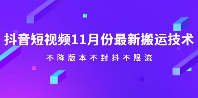 抖音短视频11月份最新搬运技术，不降版本不封抖不限流！【视频课程】-爱赚项目网