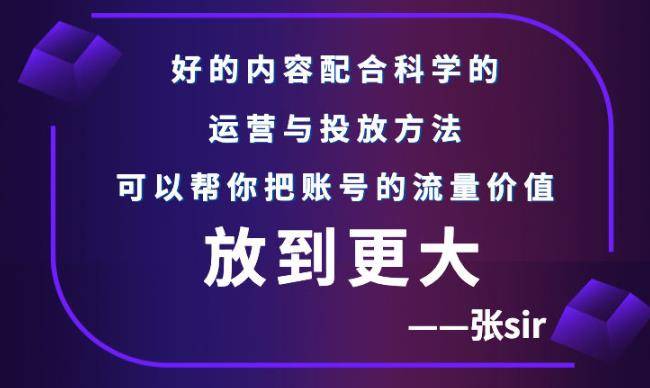 张sir账号流量增长课，告别海王流量，让你的流量更精准-爱赚项目网