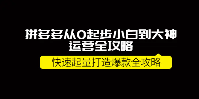 拼多多从0起步小白到大神运营全攻略，快速起量打造10W+爆款全攻略！-爱赚项目网