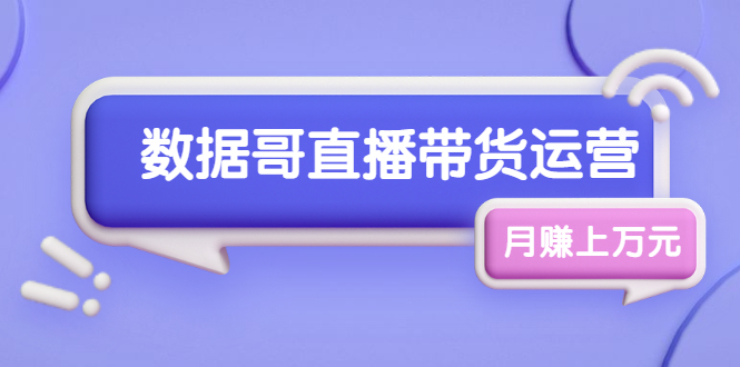 数据哥直播带货运营线上进阶课，让普通人也能靠直播月赚上万元-爱赚项目网