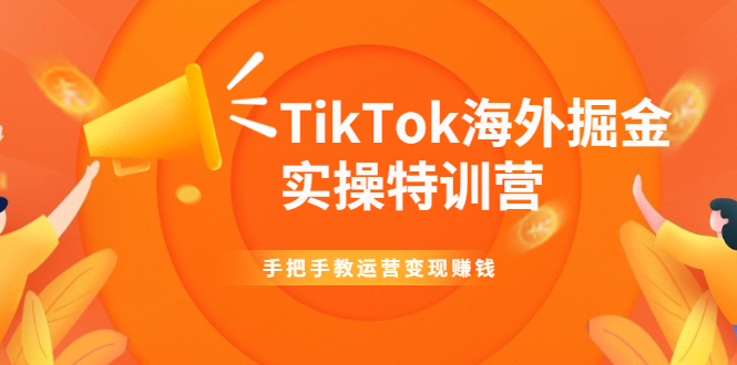 TikTok海外掘金实操特训营：手把手教运营变现赚钱【视频课程】-爱赚项目网