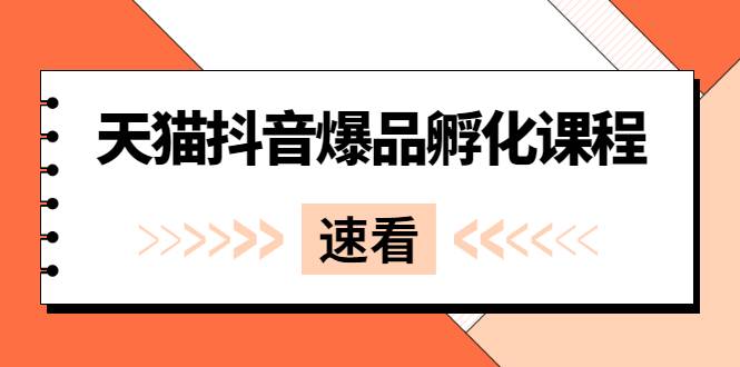 《天猫抖音爆品孵化课程》独家绝密新品引爆法-爱赚项目网