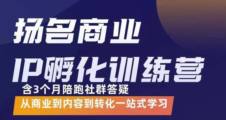 商业IP孵化训练营，从商业到内容到转化一站式学 价值5980元-爱赚项目网