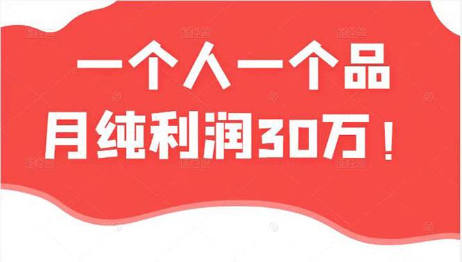 某公众号付费文章：一个人一个品月纯利润30万的蓝海电商经典案例！-爱赚项目网