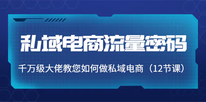 私域电商流量密码：千万级大佬教您如何做私域电商（12节课）-爱赚项目网