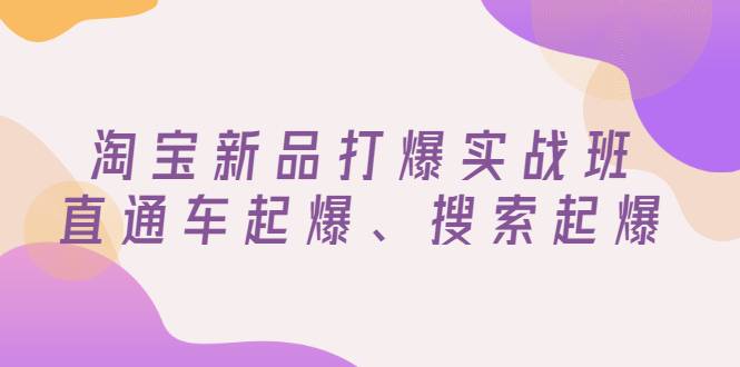 淘宝新品打爆实战班，直通车起爆、搜索起爆（价值599元）-爱赚项目网