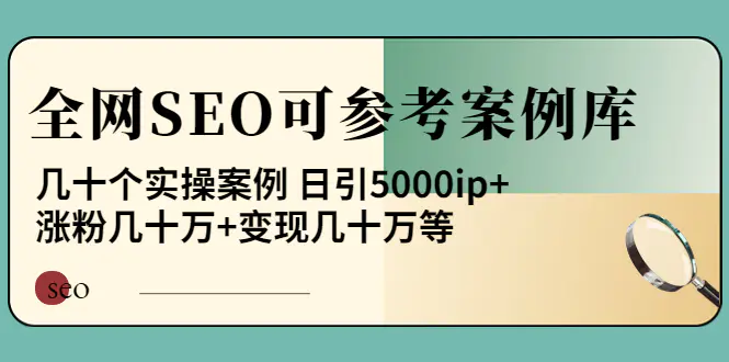 《全网SEO可参考案例库》几十个实操案例 日引5000ip+涨粉百W+变现几十W等!-爱赚项目网