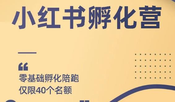 勇哥小红书撸金快速起量项目：教你如何快速起号获得曝光，做到月躺赚3000+-爱赚项目网