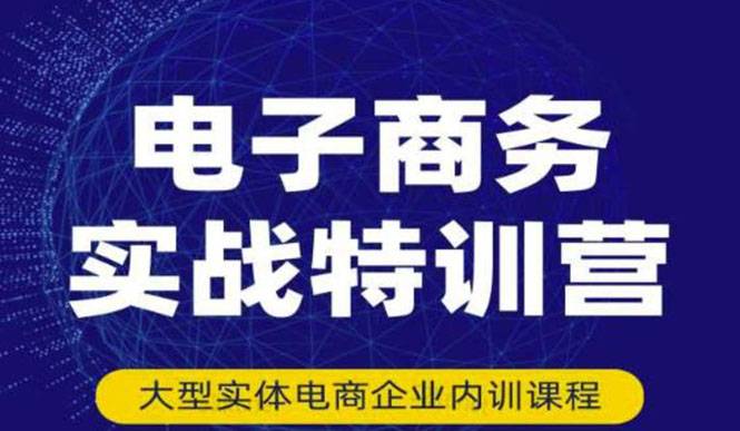 电子商务实战特训营，全方位带你入门电商，308种方式玩转电商-爱赚项目网