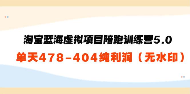 黄岛主：淘宝蓝海虚拟项目陪跑训练营5.0：单天478纯利润（无水印）-爱赚项目网