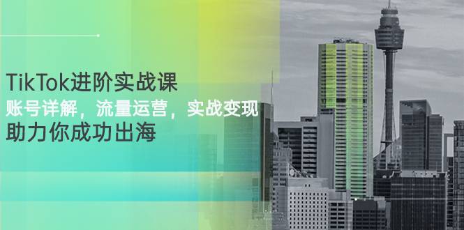 TikTok进阶实战课：账号详解，流量运营，实战变现，助力你成功出海-爱赚项目网