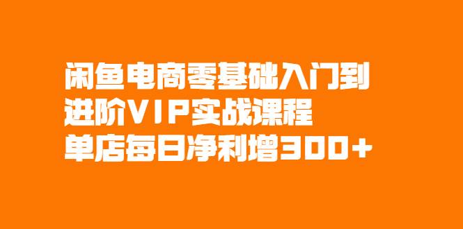 闲鱼电商零基础入门到进阶VIP实战课程，单店每日净利增300+-爱赚项目网