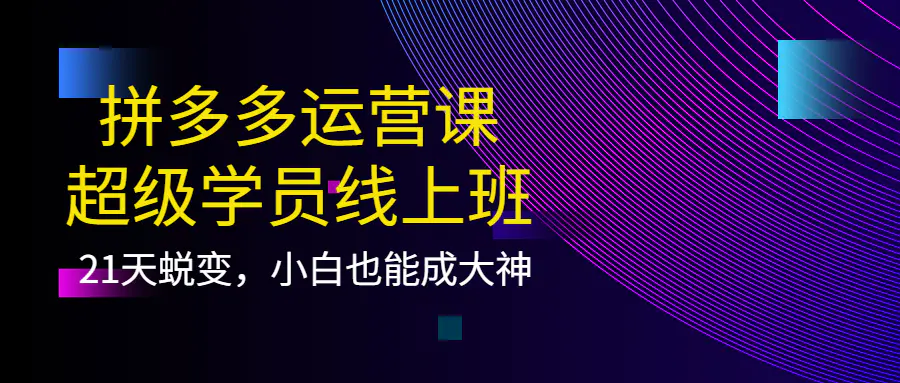 拼多多运营课：超级学员线上班，21天蜕变，小白也能成大神-爱赚项目网