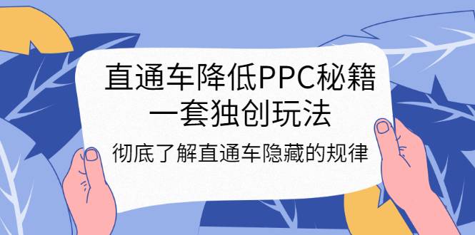 直通车降低PPC秘籍，一套独创玩法：彻底了解直通车隐藏的规律-爱赚项目网