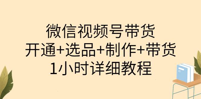 陈奶爸·微信视频号带货：开通+选品+制作+带货（1小时详细教程）-爱赚项目网