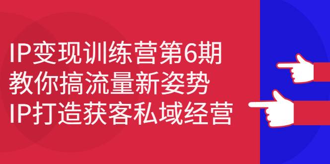 IP变现训练营第6期：教你搞流量新姿势，IP打造获客私域经营-爱赚项目网