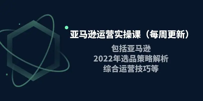 亚马逊运营实操课（每周更新）包括亚马逊2022选品策略解析，综合运营技巧等-爱赚项目网