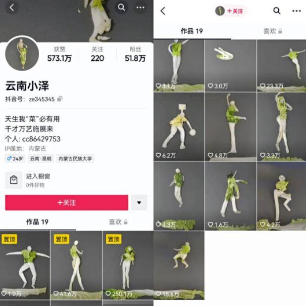 [大杂烩] 抖音最新挣钱风口思维：定格动画视频制作实操教程，无私分享给小白学习-爱赚项目网