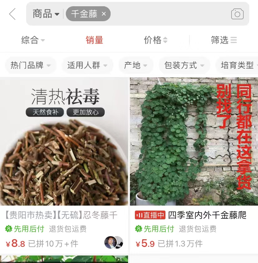 图片[3]-[创业资讯] 蹭热点卖千金藤，一单8.8，月销入100万！-爱赚项目网