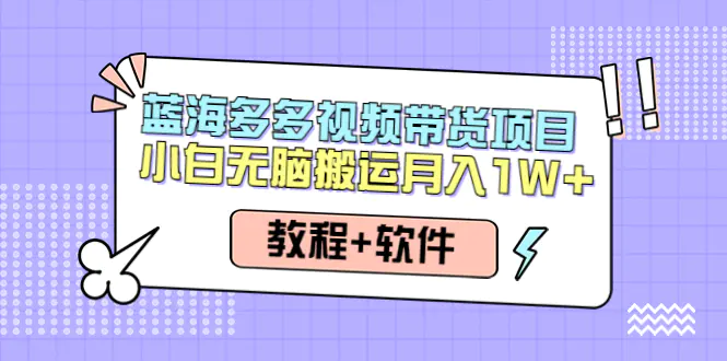 人人都能操作的蓝海多多视频带货项目 小白无脑搬运月入10000+（教程+软件）-爱赚项目网