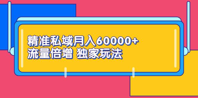 精准私域月入60000+ 流量倍增 独家玩法（9节视频课）-爱赚项目网