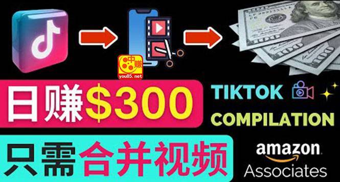 搬运Tiktok短视频到Youtube赚钱，只需下载，合并视频，日赚300美元-爱赚项目网