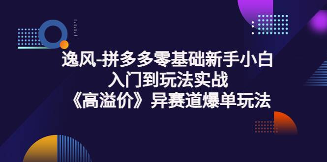 逸风-拼多多零基础新手小白入门到玩法实战《高溢价》异赛道爆单玩法实操课-爱赚项目网