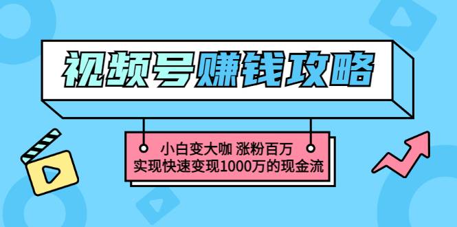 玩转微信视频号赚钱：小白变大咖 涨粉百万 实现快速变现1000万的现金流-爱赚项目网