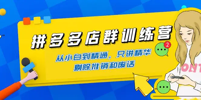 拼多多店群训练营：从小白到精通，只讲精华，剔除推销和废话-爱赚项目网