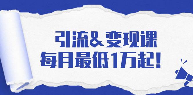 引流&变现课：分享一整套流量方法以及各个渠道收入，每月最低1万起！-爱赚项目网