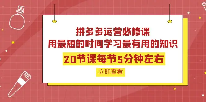 拼多多运营必修课：20节课每节5分钟左右，用最短的时间学习最有用的知识-爱赚项目网