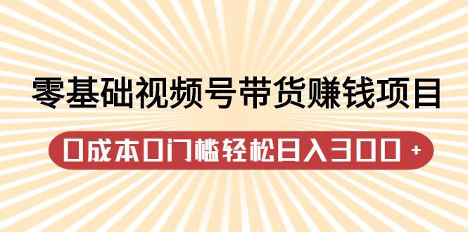 零基础视频号带货赚钱项目，0成本0门槛轻松日入300+【视频教程】-爱赚项目网